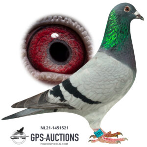 Arie Dijkstra, Oudwoude