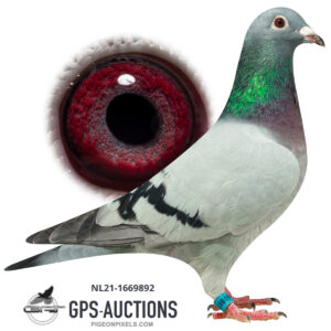 Hans & Evert-Jan Eijerkamp, Brummen