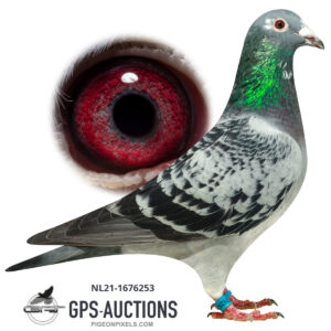 Marcel Sangers, Eefde