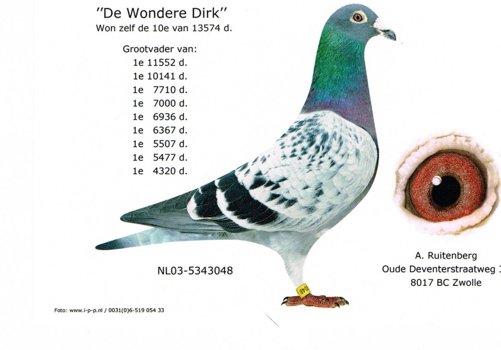 DV05138-23-2683