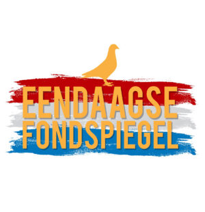 Wieger de Bruin, Veenwouden