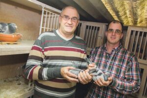 Louis Stabel & Zn., Goirle