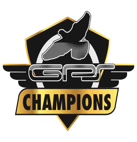 The Champions Auction
