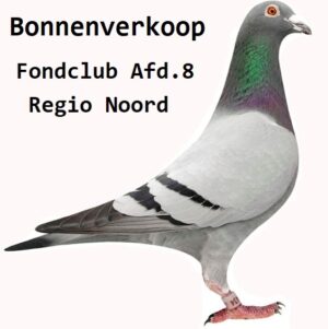 G.J. Beens - Genemuiden