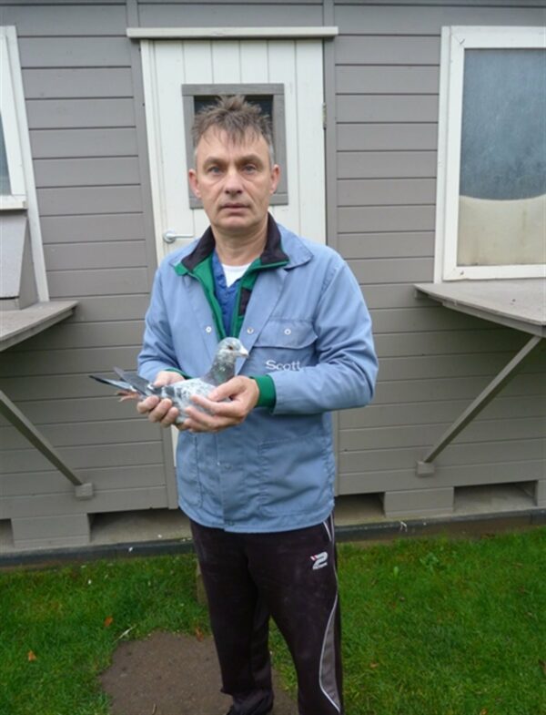 The Rudy van Reeth Collection