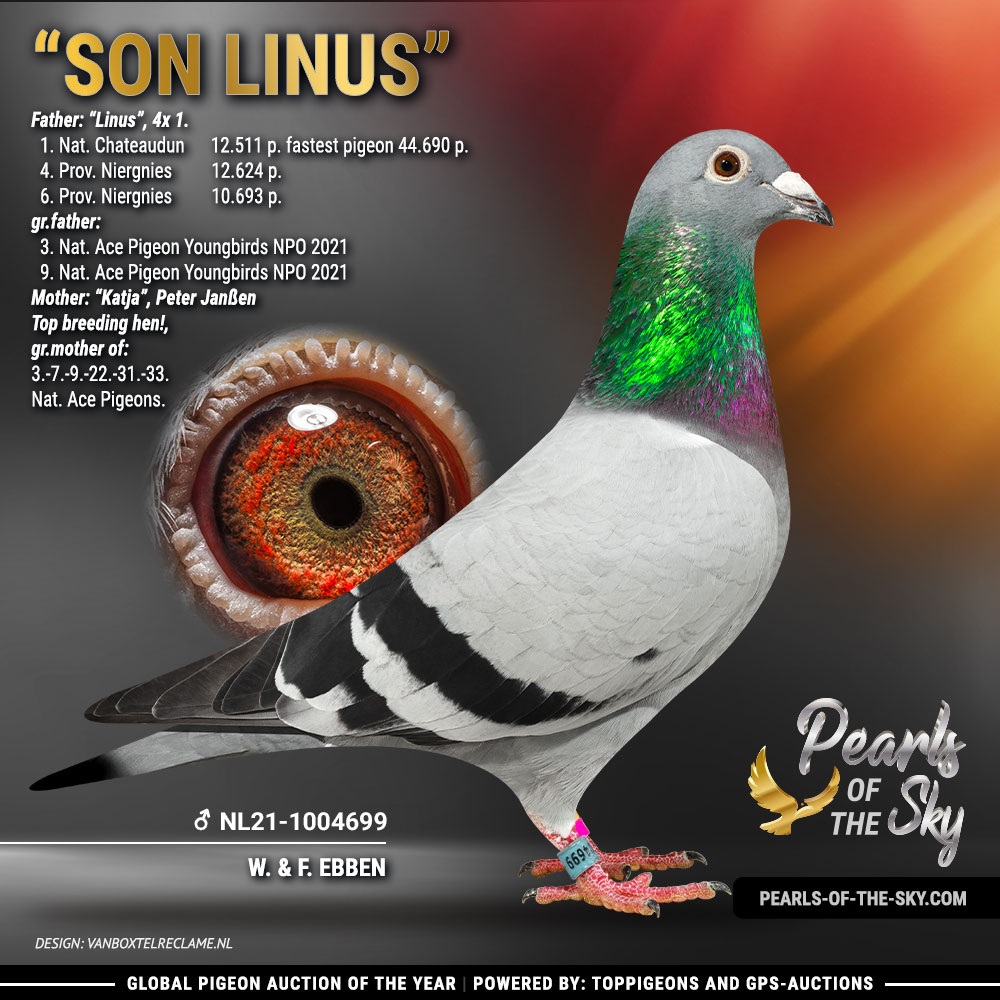 Pearls Of The Sky 2022 Part 2 GPSAuctions