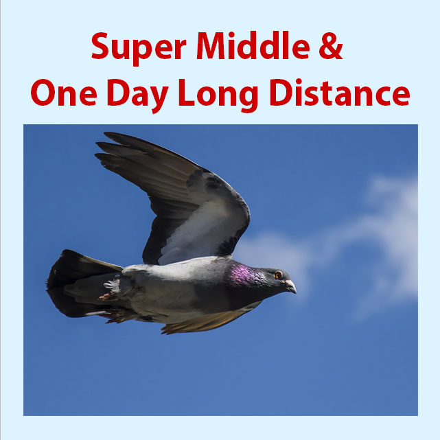 Super Middle & One Day Long Distance