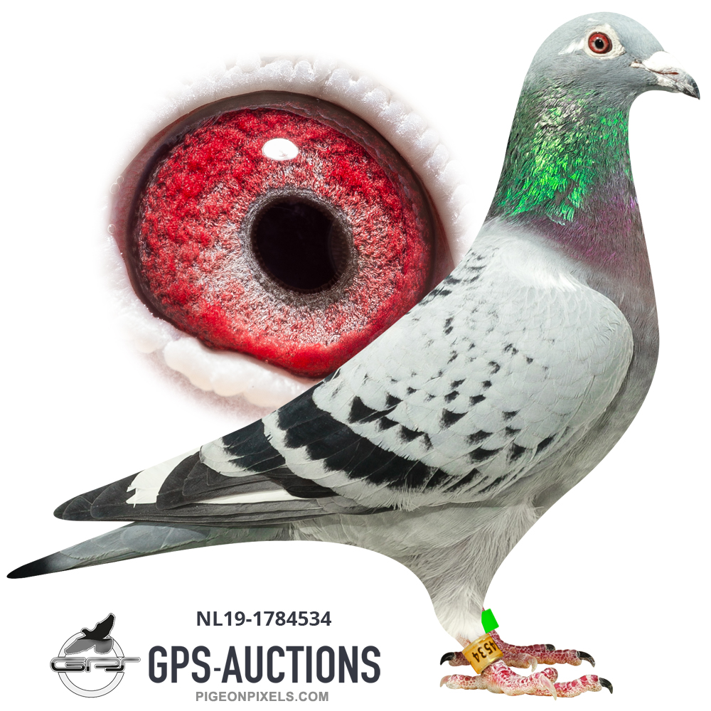Re-Subasta China Parte 1 - GPS-Auctions