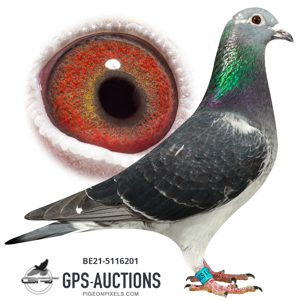 ☆ ユン・ピョウ / FROM FAR EAST Olympic Station – R. & N. Afrasinei P.2 - GPS-Auctions
