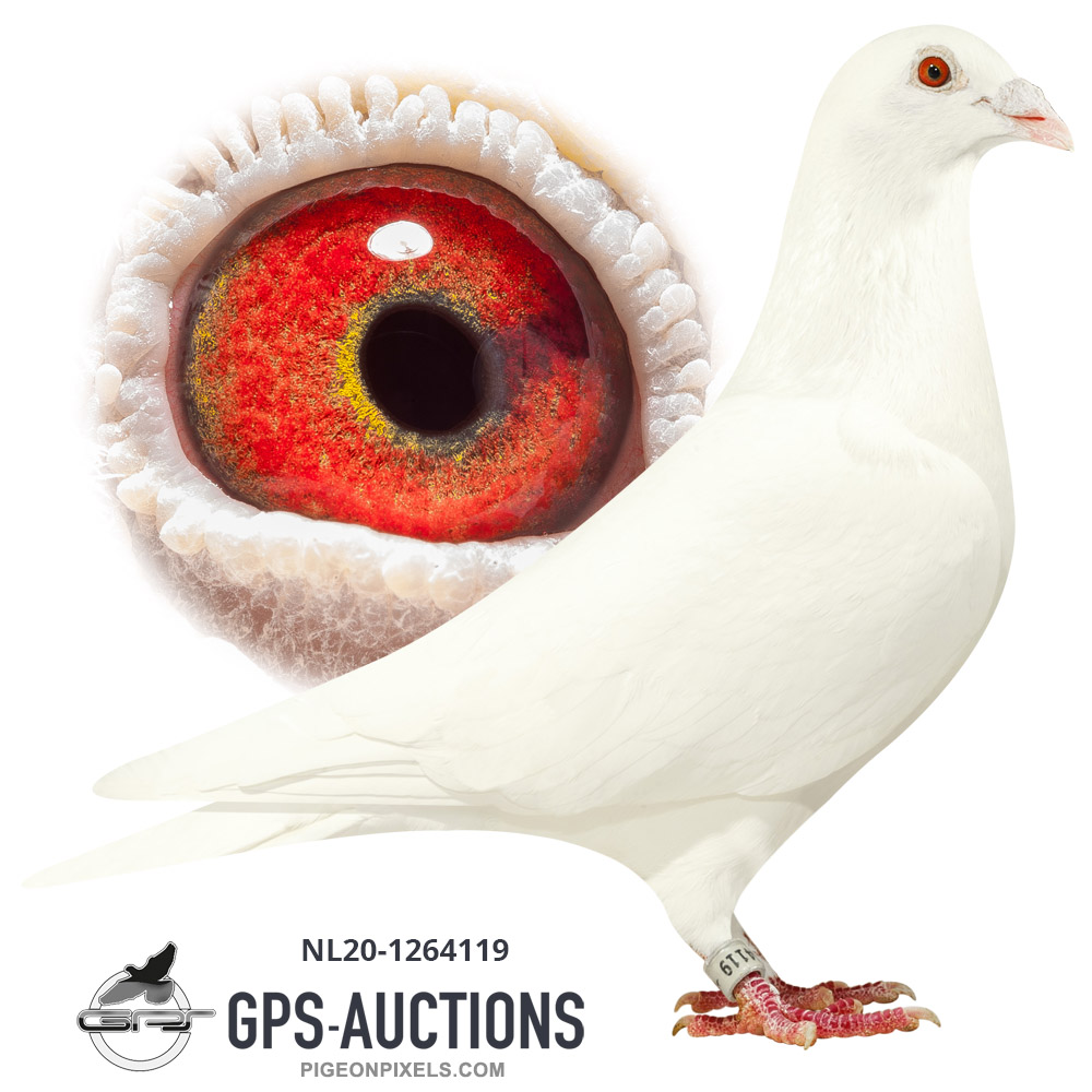 Auctions - Page 190 of 424 - GPS-Auctions