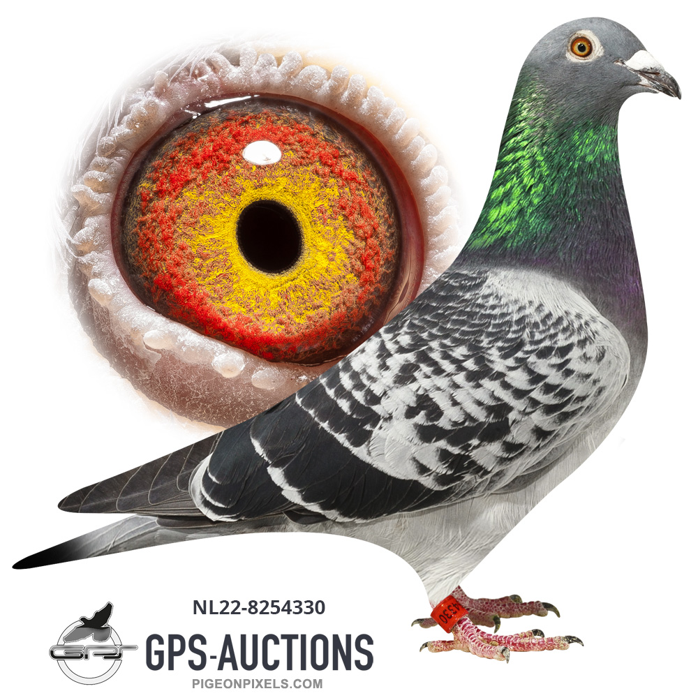 The Comb. Vieberink & Comb. Tekin Auction GPSAuctions