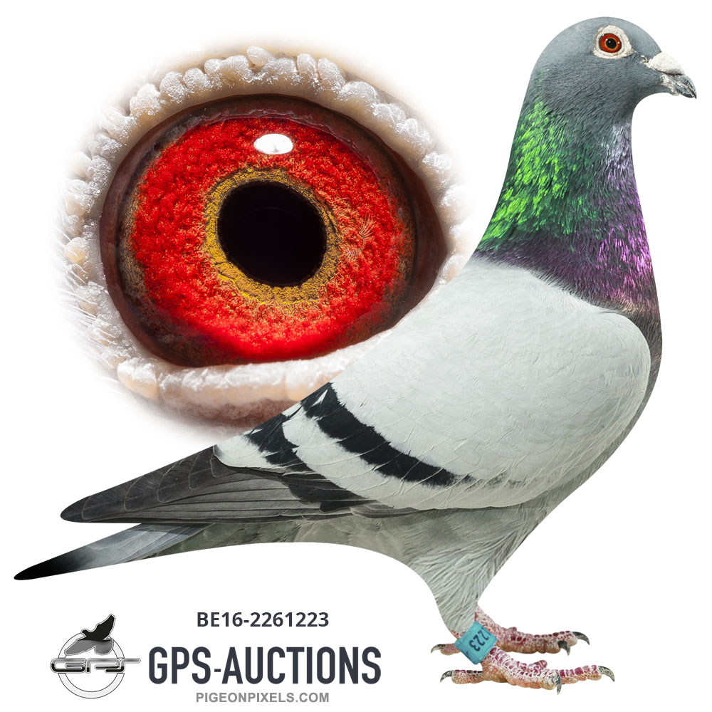 Golden Marathon Mix - GPS-Auctions