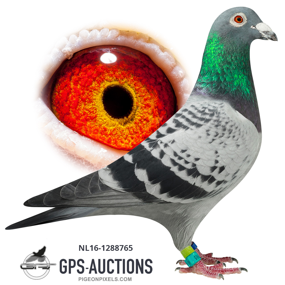 Peter Janssen Special GPS Auctions peter-janssen-special-gps-auctions