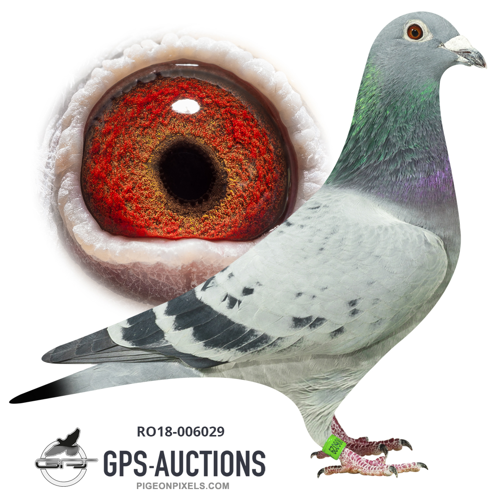 The Best of Romania - GPS-Auctions