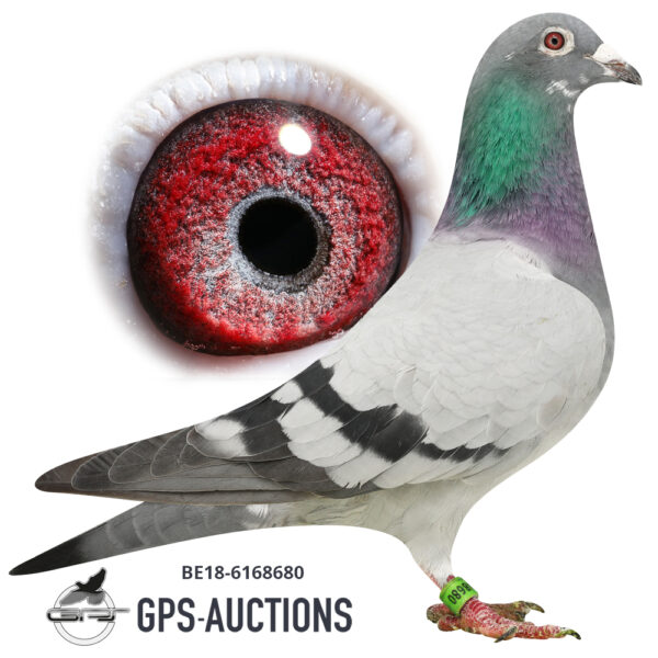 The Dirk vd Bulck Diamonds - GPS-Auctions