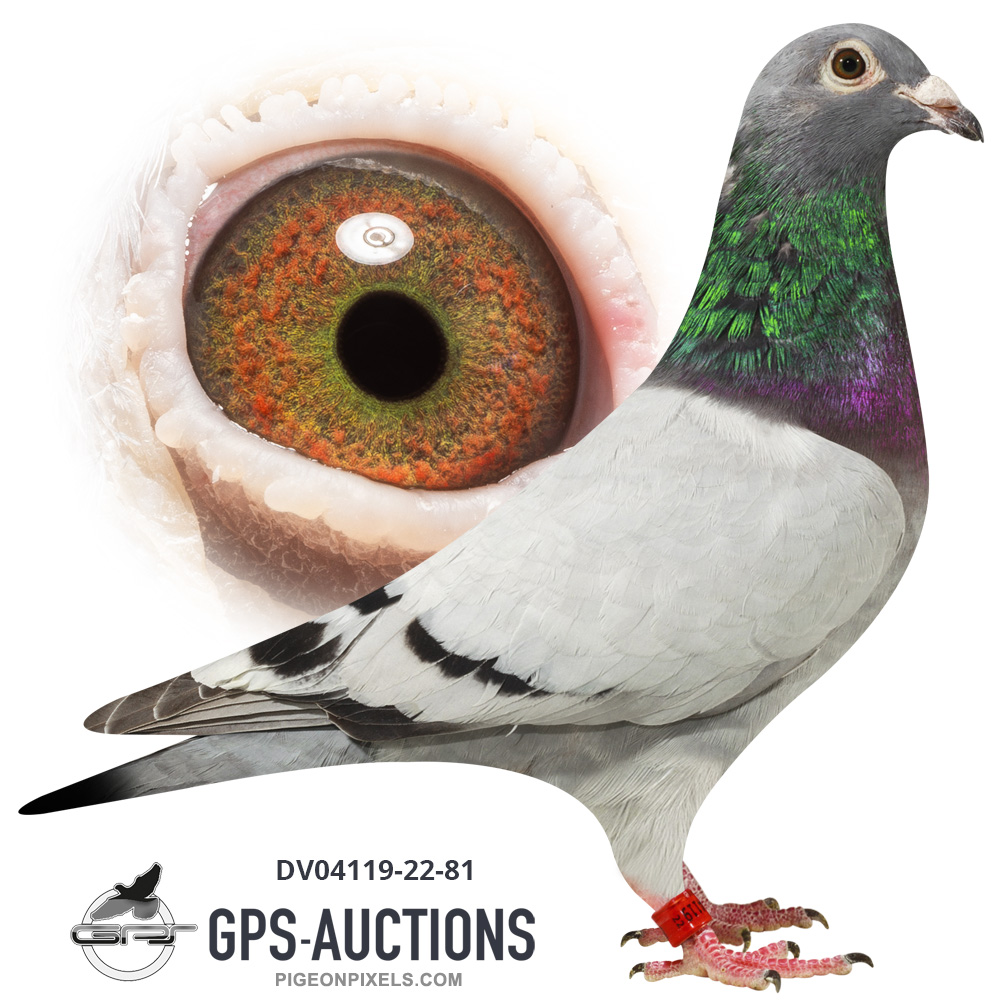 Wilfried zur Löwen Auction - GPS-Auctions