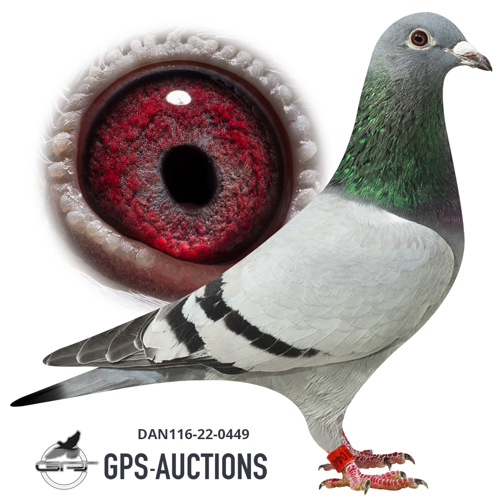 PME Team Thergam Al hulo Part 2 - GPS-Auctions