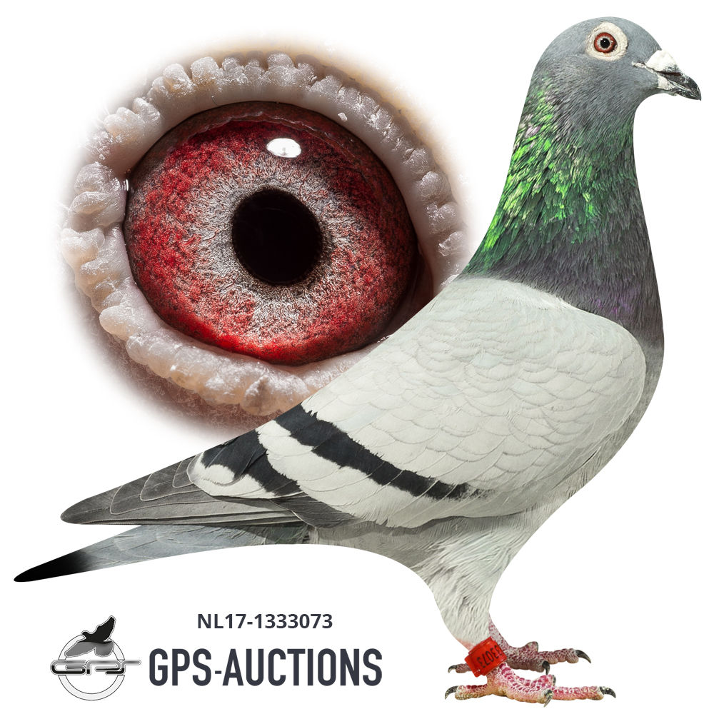 Re Auction India - GPS-Auctions