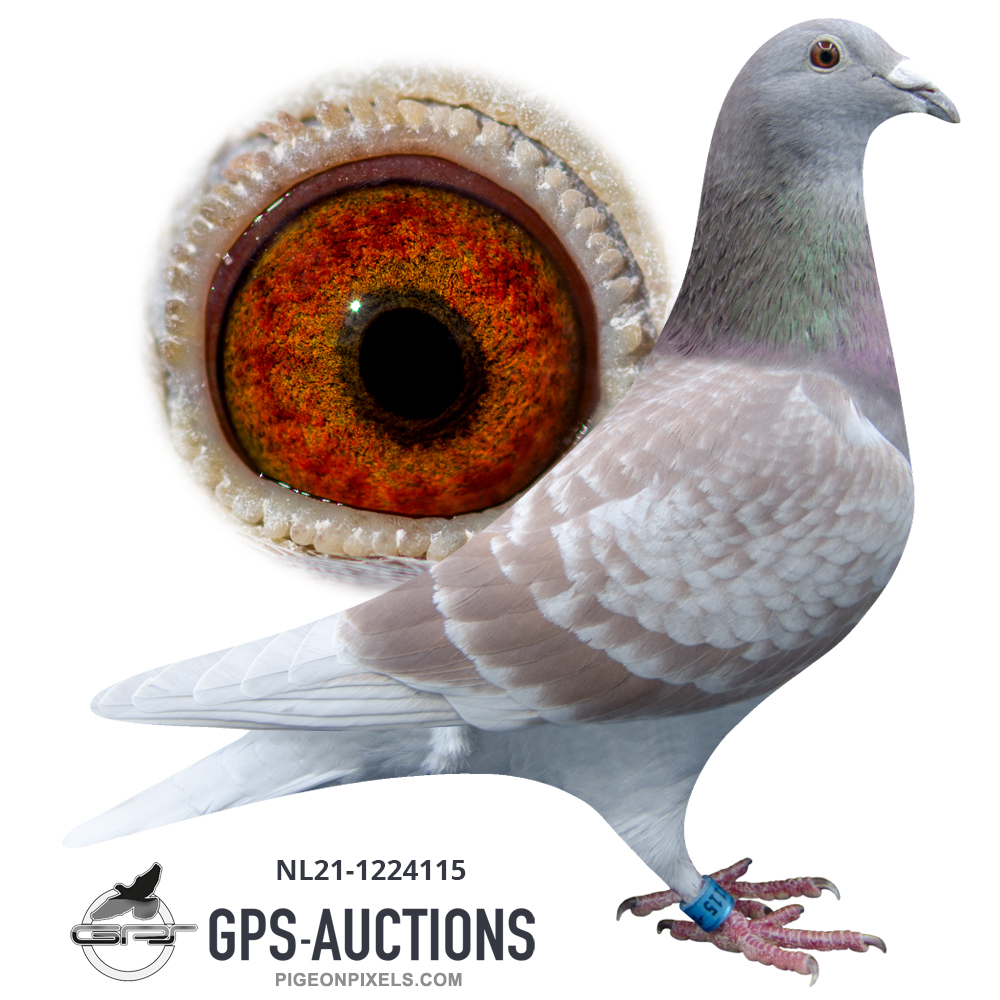 Viscount Global GPSAuctions