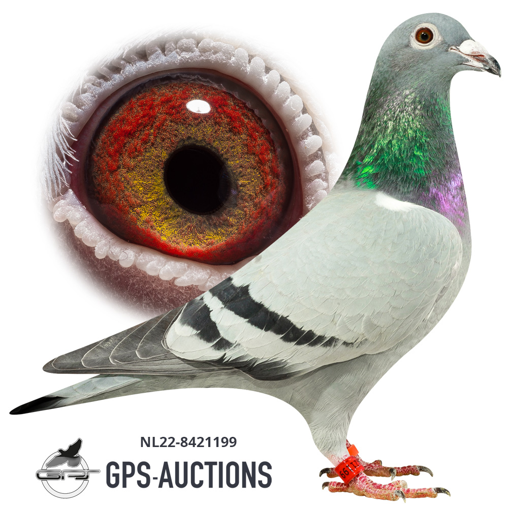 W. Seton & Zn. - GPS-Auctions