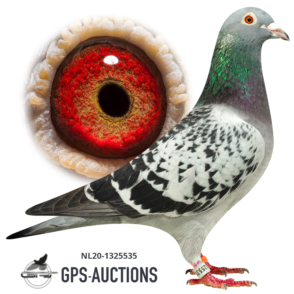 The Dynasty Auction. GPSAuctions