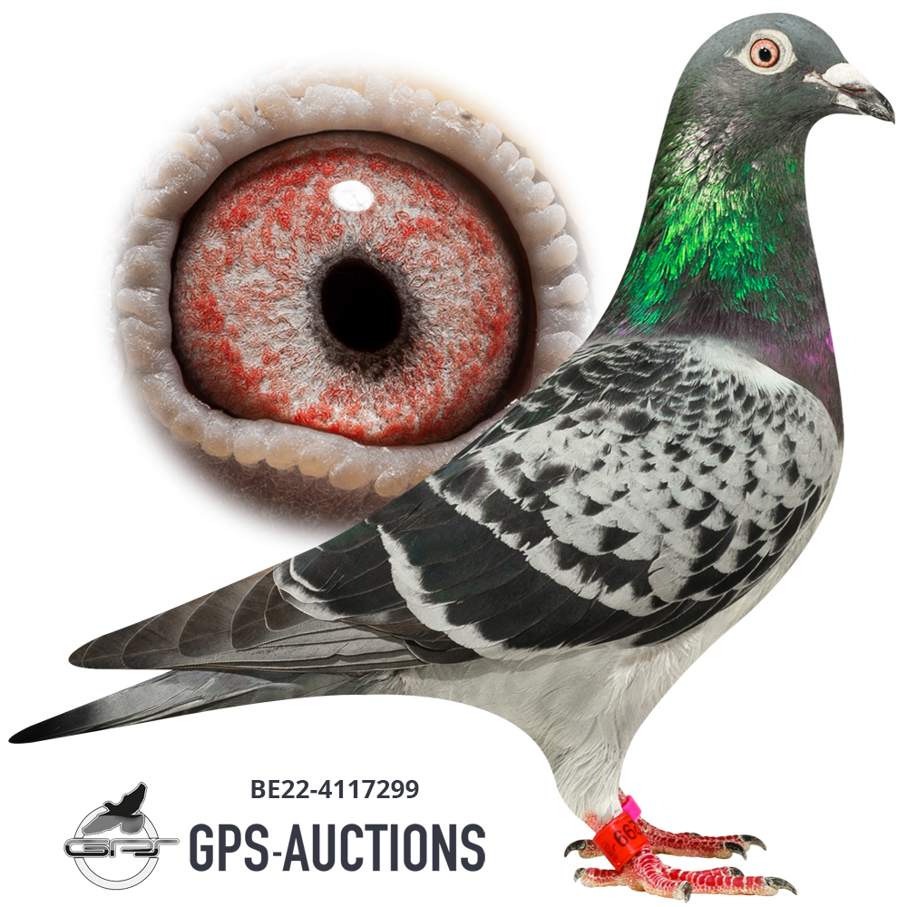 The Yvan Van Den Bossche Special Gps Auctions 
