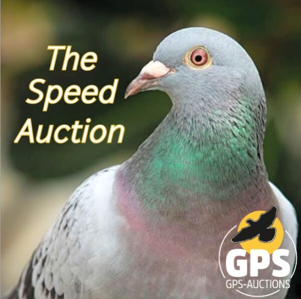 The Speed Collection