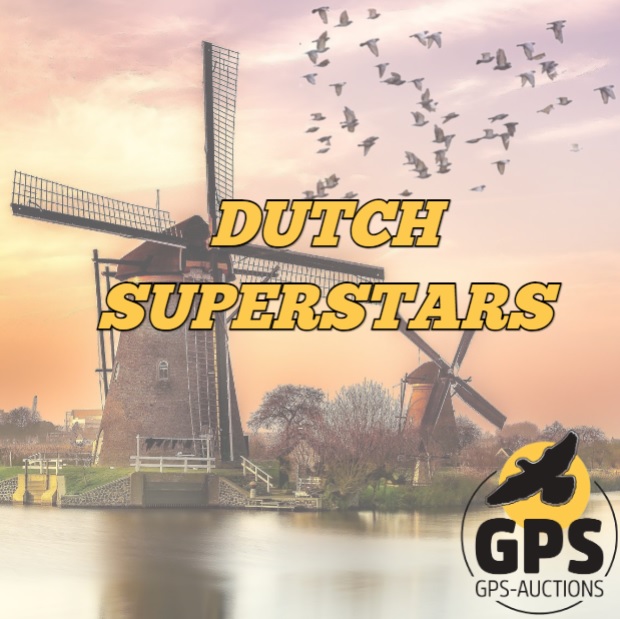 Dutch Superstars