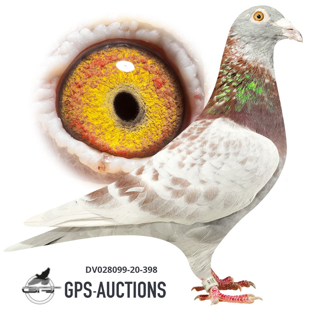 Franz Lange Special - GPS-Auctions