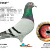 NL21-1097614