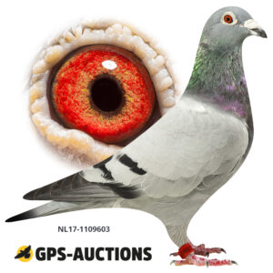 NL17-1109603