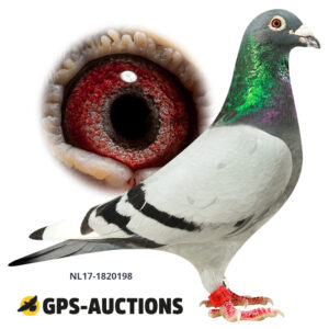 NL17-1820198