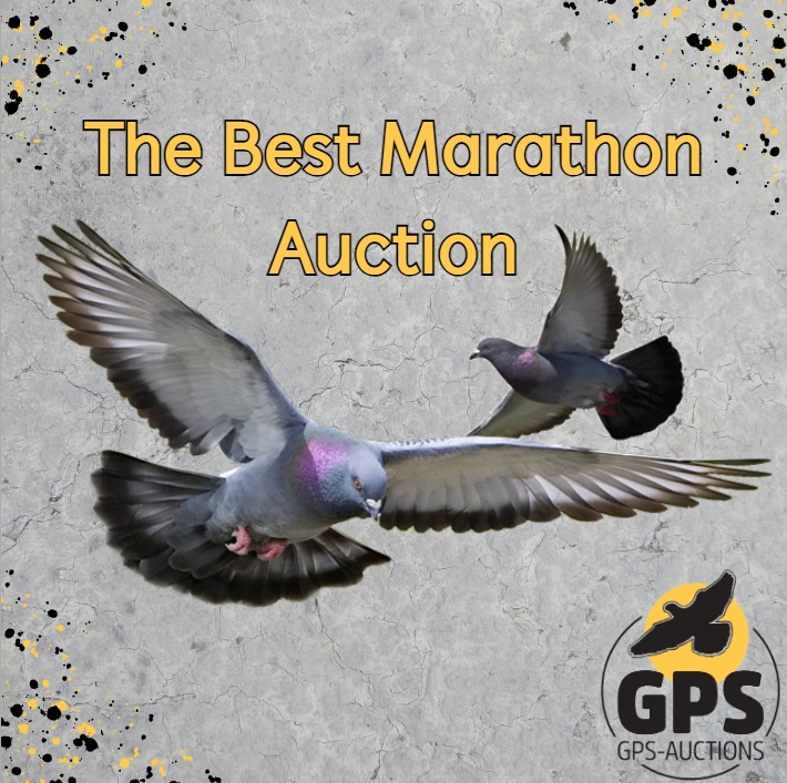 The Best Marathon Auction Ever.