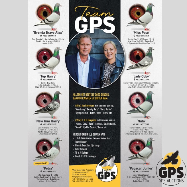 Team G.P.S.