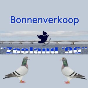 J.P. Hengst, Zoutelande