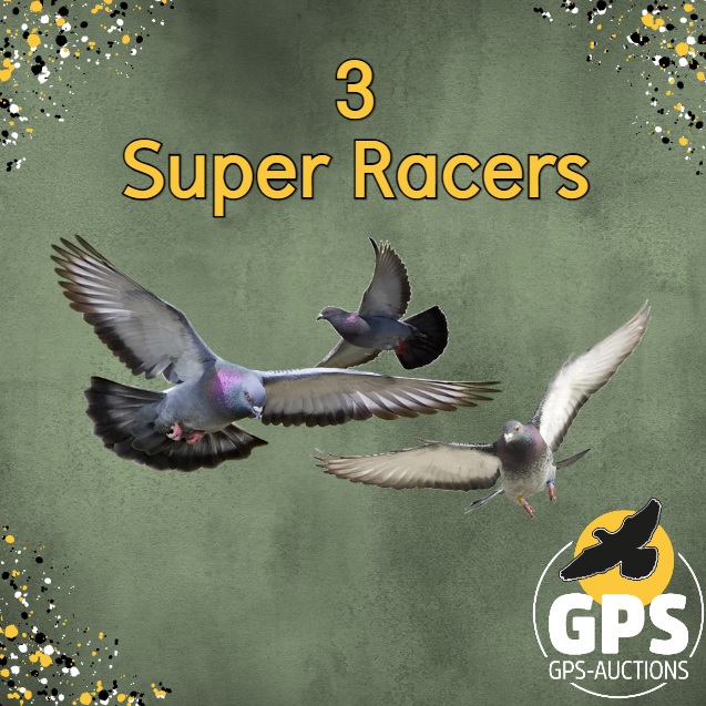 3 Super Racers