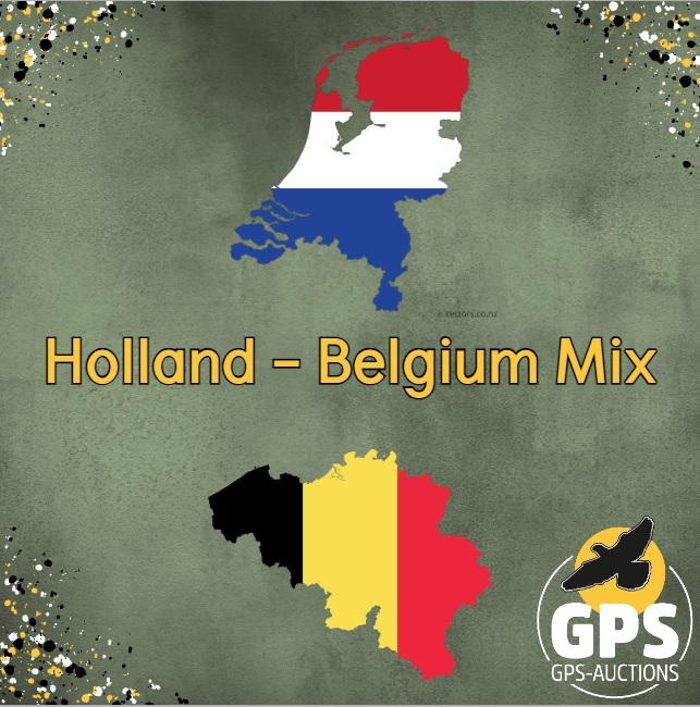 Holland - Belgium Mix