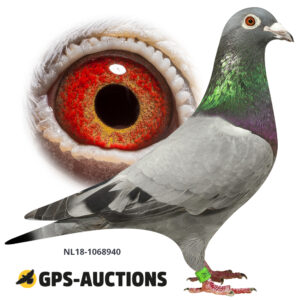 NL18-1068940