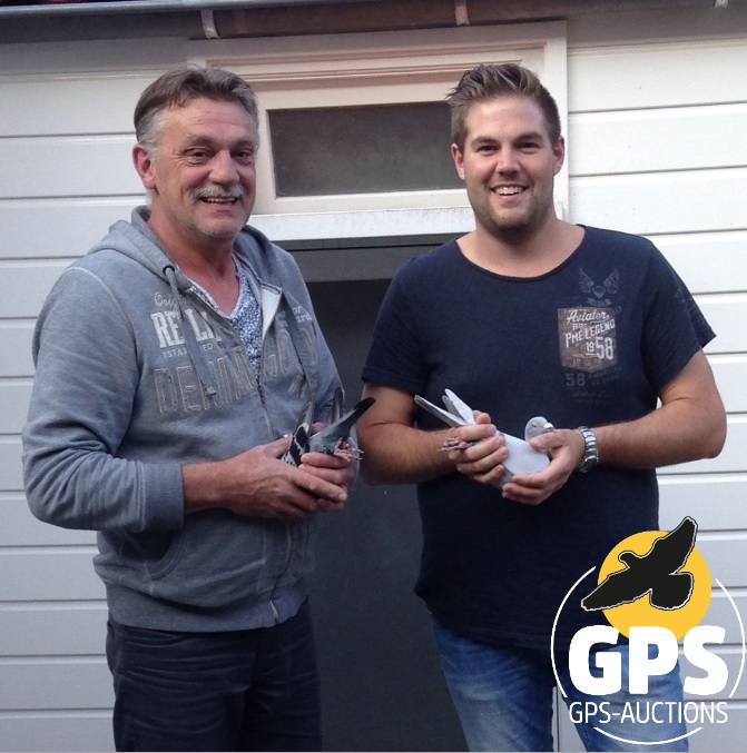 K. Post & Zn Racing Pigeons