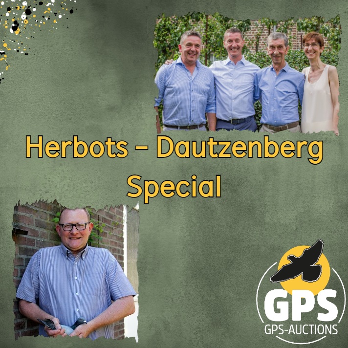 Herbots - Dautzenberg Special