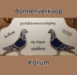 Peter / Gwen vd Merwe, Dordrecht - Zomer