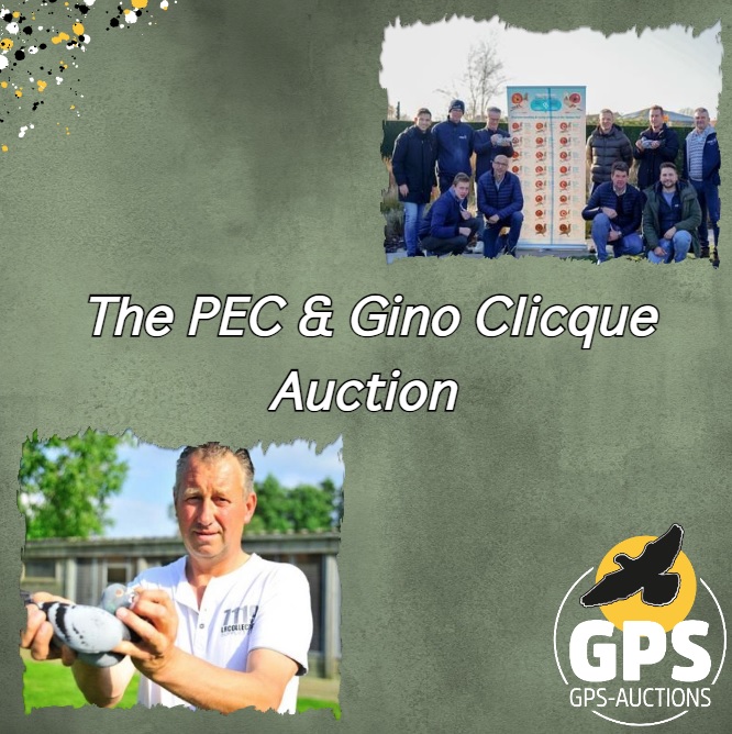 The PEC & Gino Clicque Auction