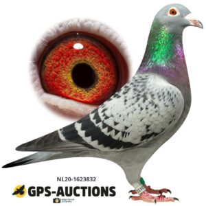 NL20-1623832
