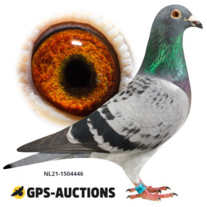 NL21-1504446