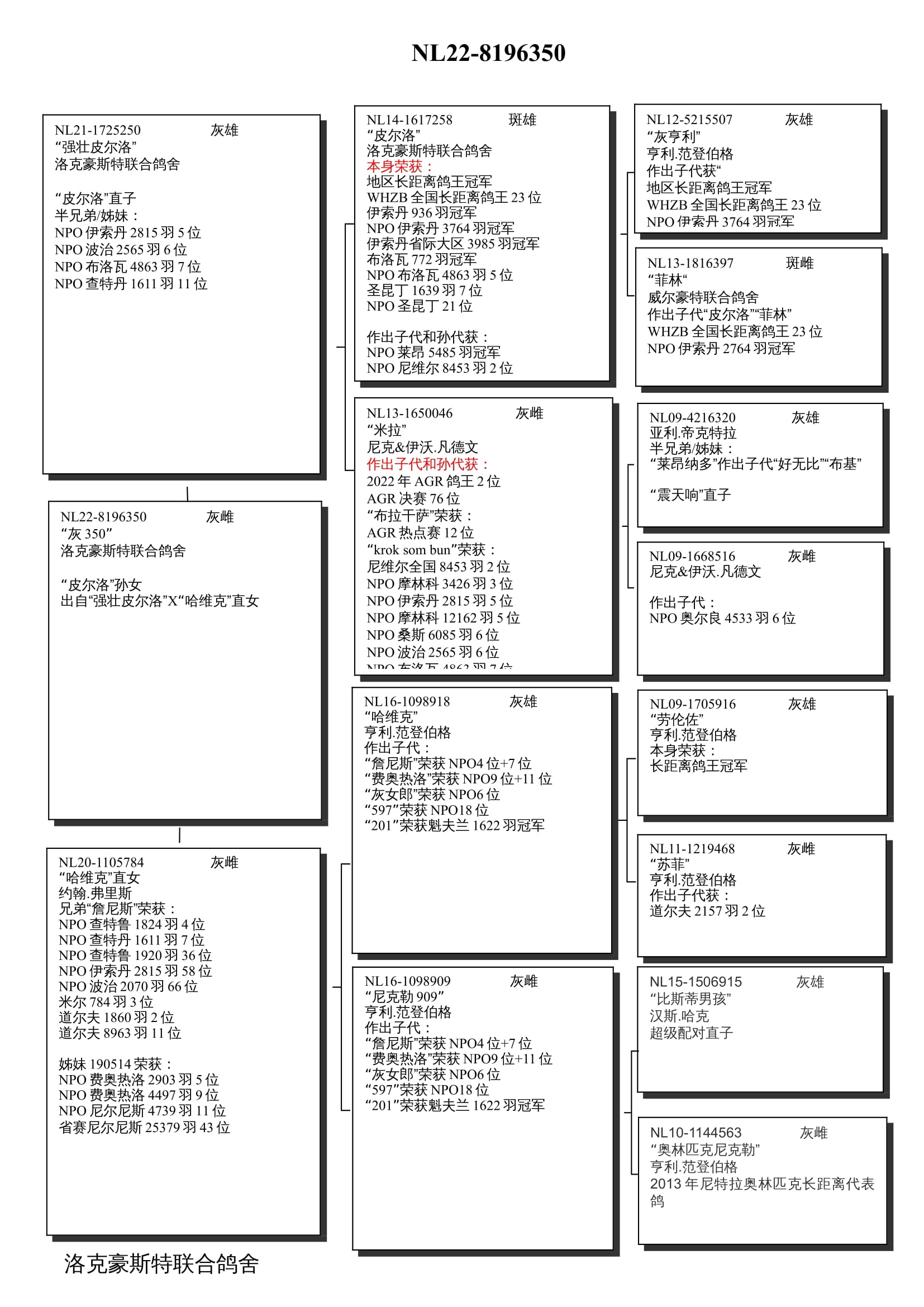 NL22-8196350