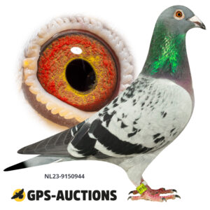 NL23-9150944