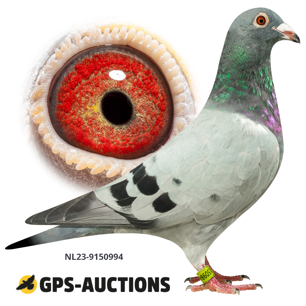 Comb. HendriksSanders GPSAuctions