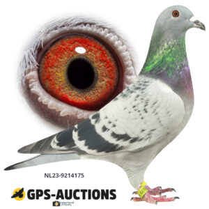 NL23-9214175