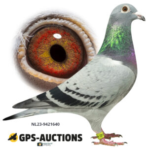 NL23-9421640