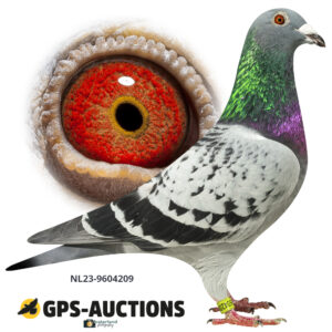 NL23-9604209